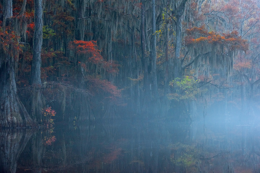 Vergessener Dschungel